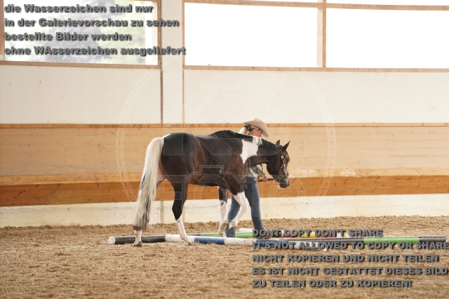 s_A_901331.JPG